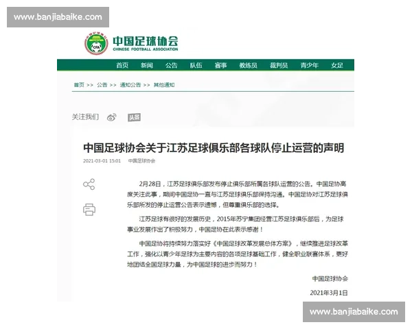 以足球协会为核心推动青少年足球发展与行业治理新格局建设路径